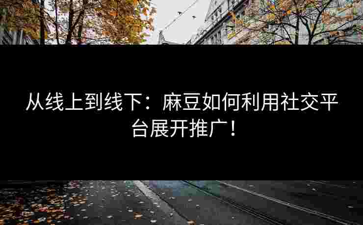从线上到线下：麻豆如何利用社交平台展开推广！